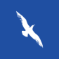 Cape Air