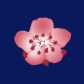 China Airlines