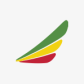 Ethiopian Airlines