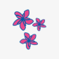 Air Rarotonga