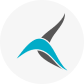 Tailwind Airlines