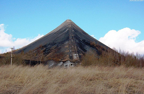 Кивиыли