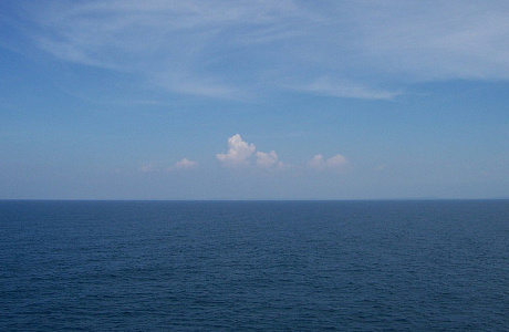 Яванское море

	
