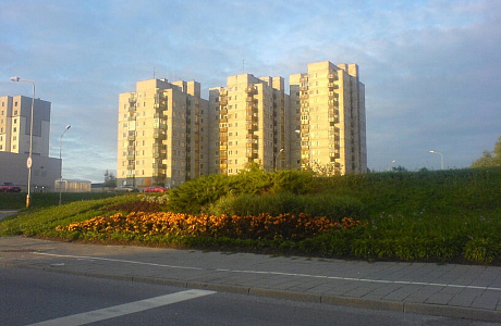 Алитус