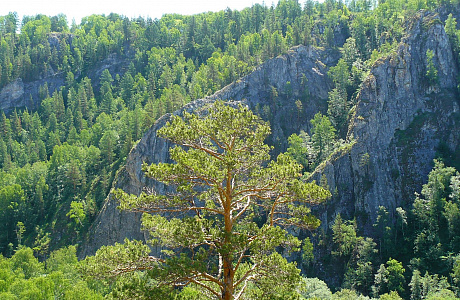 Башкирский заповедник

	

