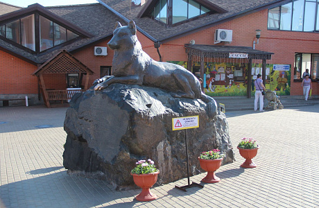 Ижевский зоопарк