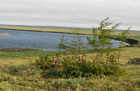 Таймырский заповедник