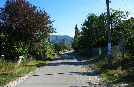 Шепси