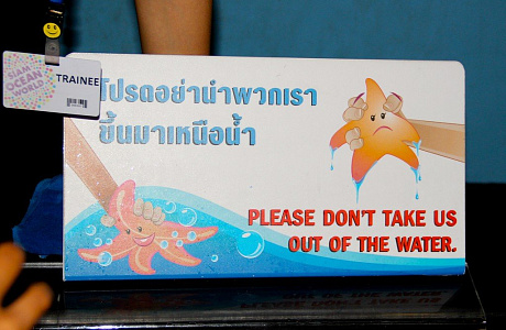 Океанариум Siam Ocean World в Бангкоке