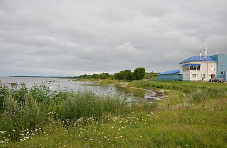 Кярдла