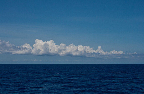 Саргассово море