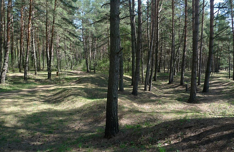 Гнёздовские курганы