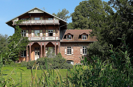 Камарг