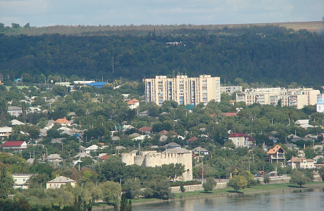 Сороки