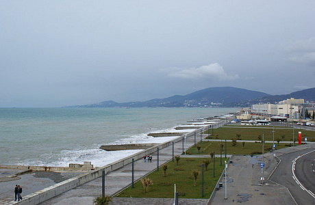 Адлер

	
