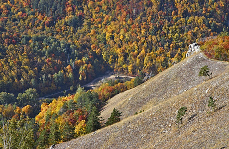 Жигулевский заповедник

	
