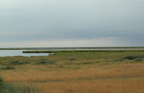 Кургальджинский заповедник
