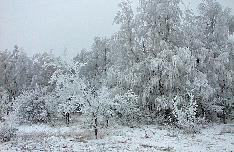 Кумысная поляна