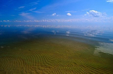 Балтийское море

	
