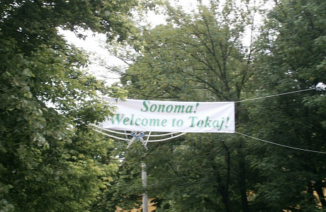 Винодельческий район Токай