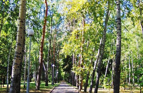 Лагерный сад
