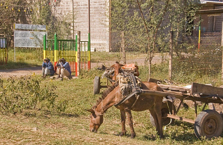 Бахр-Дар