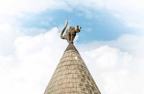 Дом с кошками в Риге