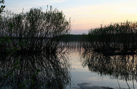 Шалаховское водохранилище