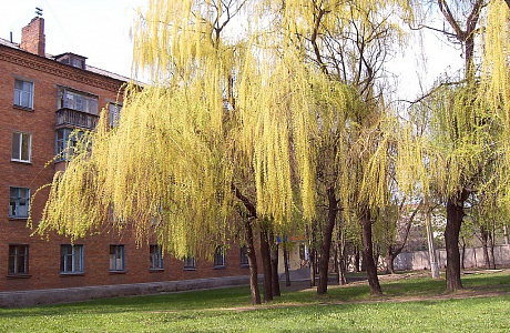 Кривой Рог