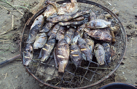 Национальный парк Вирунга

	
