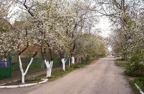 Кривой Рог