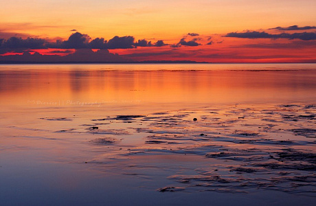 Море Камотес