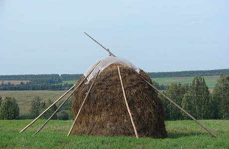 Лудорвай