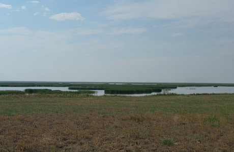 Кургальджинский заповедник