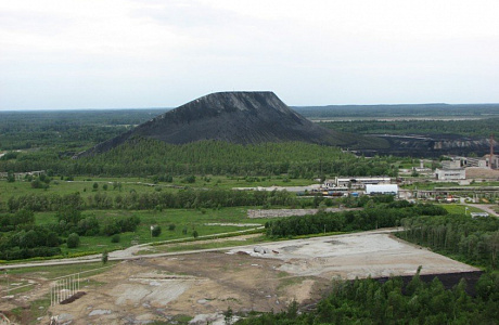 Кивиыли