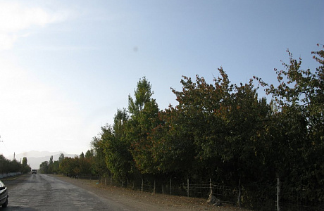 Баткен