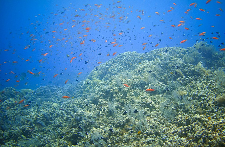 Море Бали