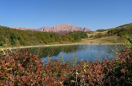 Кавказский заповедник