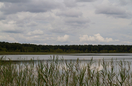 Парк Грутас