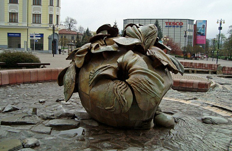Жилина