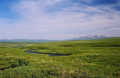 Алтайский заповедник