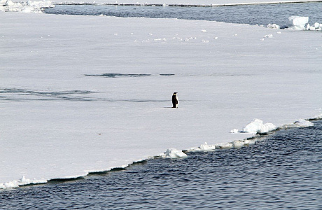 Море Дюрвиля