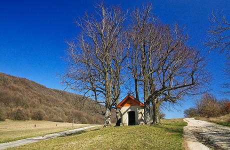 Словацкий Карст

	
