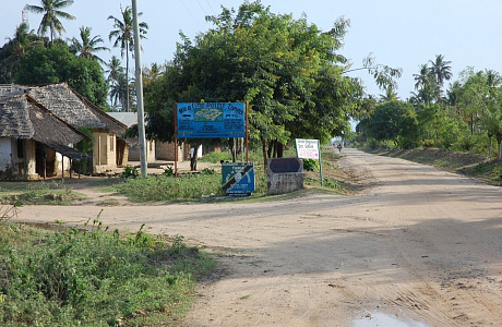 Танга
