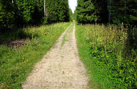 Парк Зверинец