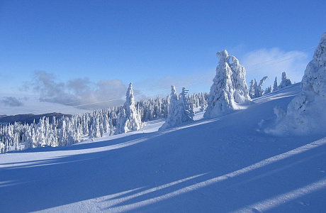 Копаоник