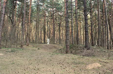 Гнёздовские курганы