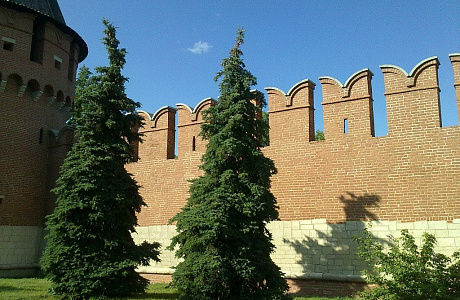 Тульский кремль