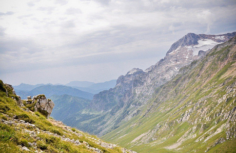 Кавказский заповедник

	
