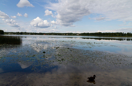 Парк Грутас